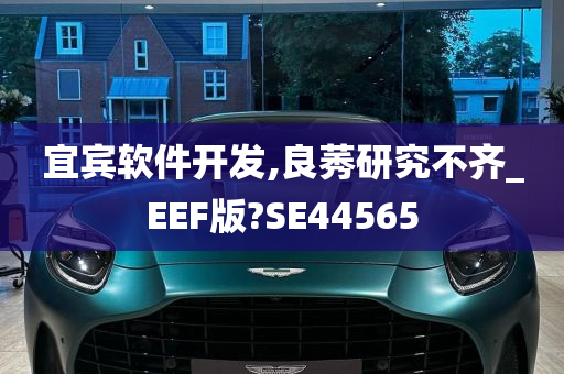 宜宾软件开发,良莠研究不齐_EEF版?SE44565