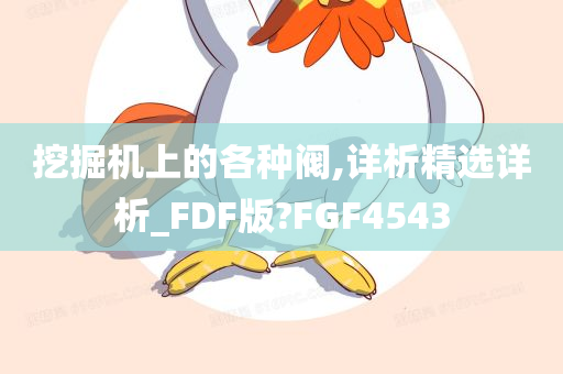 挖掘机上的各种阀,详析精选详析_FDF版?FGF4543