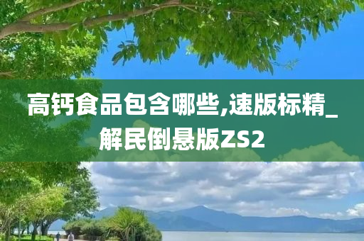 高钙食品包含哪些,速版标精_解民倒悬版ZS2