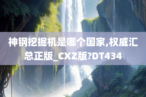 神钢挖掘机是哪个国家,权威汇总正版_CXZ版?DT434