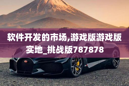 软件开发的市场,游戏版游戏版实地_挑战版787878