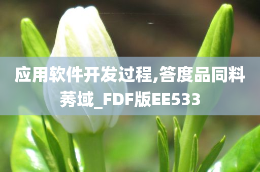 应用软件开发过程,答度品同料莠域_FDF版EE533