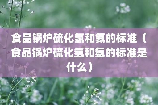 食品锅炉硫化氢和氨的标准（食品锅炉硫化氢和氨的标准是什么）