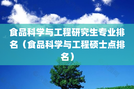 食品科学与工程研究生专业排名（食品科学与工程硕士点排名）