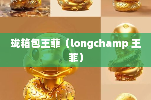 珑箱包王菲（longchamp 王菲）