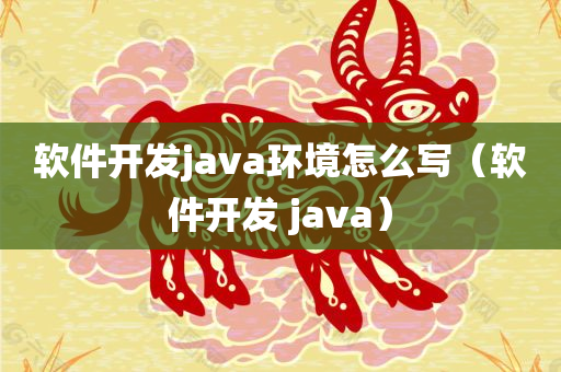 软件开发java环境怎么写（软件开发 java）