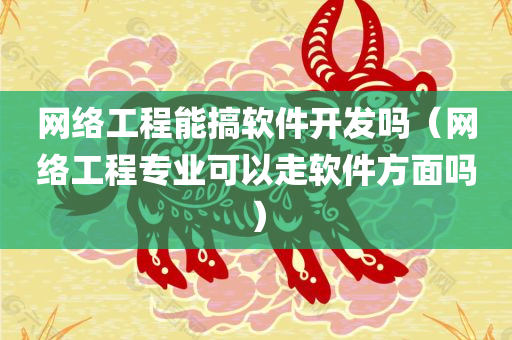 网络工程能搞软件开发吗（网络工程专业可以走软件方面吗）