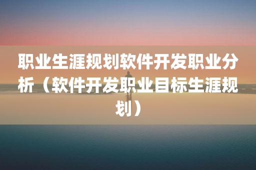 职业生涯规划软件开发职业分析（软件开发职业目标生涯规划）