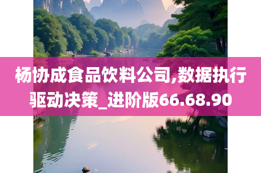 杨协成食品饮料公司,数据执行驱动决策_进阶版66.68.90