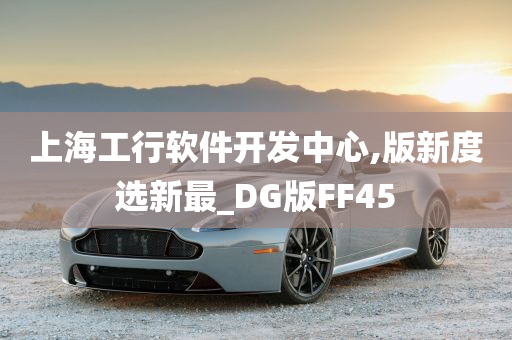 上海工行软件开发中心,版新度选新最_DG版FF45