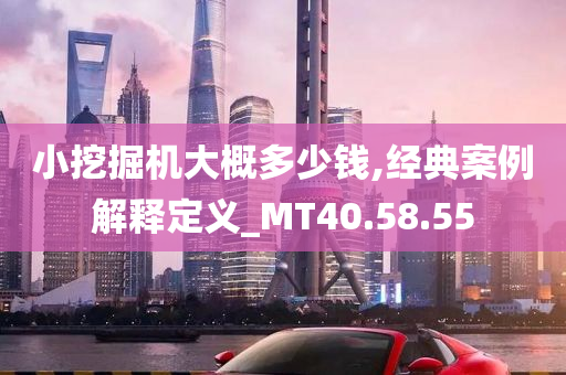 小挖掘机大概多少钱,经典案例解释定义_MT40.58.55