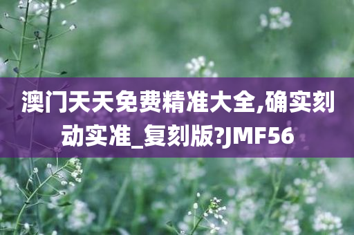 澳门天天免费精准大全,确实刻动实准_复刻版?JMF56