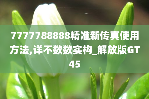 7777788888精准新传真使用方法,详不数数实构_解放版GT45