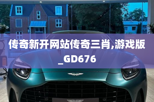 传奇新开网站传奇三肖,游戏版_GD676