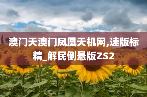 澳门天澳门凤凰天机网,速版标精_解民倒悬版ZS2