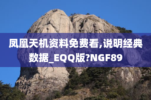 凤凰天机资料免费看,说明经典数据_EQQ版?NGF89