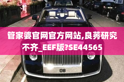 管家婆官网官方网站,良莠研究不齐_EEF版?SE44565