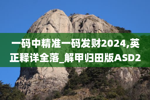 一码中精准一码发财2024,英正释详全落_解甲归田版ASD2