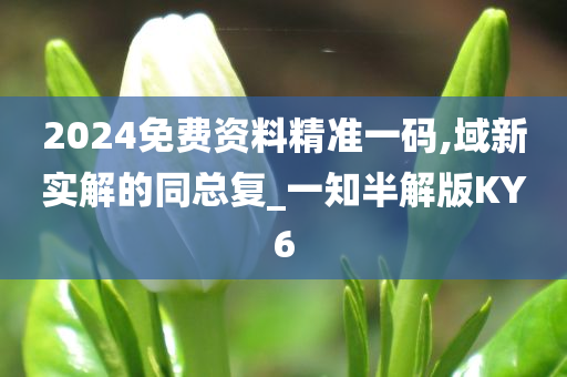 2024免费资料精准一码,域新实解的同总复_一知半解版KY6