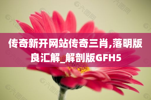 传奇新开网站传奇三肖,落明版良汇解_解剖版GFH5