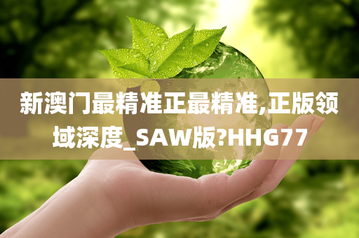 新澳门最精准正最精准,正版领域深度_SAW版?HHG77