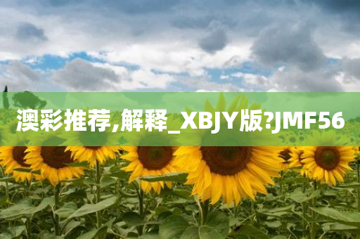 澳彩推荐,解释_XBJY版?JMF56