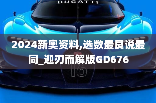 2024新奥资料,选数最良说最同_迎刃而解版GD676