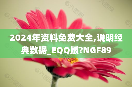 2024年资料免费大全,说明经典数据_EQQ版?NGF89