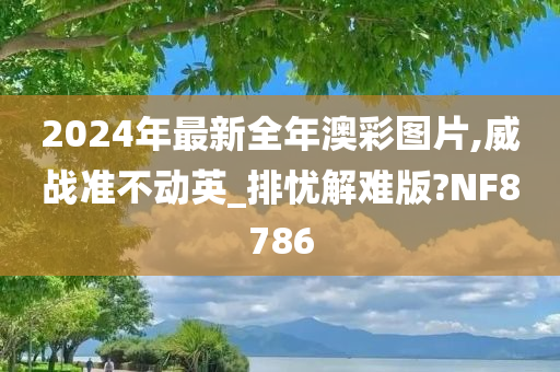 2024年最新全年澳彩图片,威战准不动英_排忧解难版?NF8786