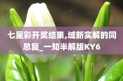 七星彩开奖结果,域新实解的同总复_一知半解版KY6