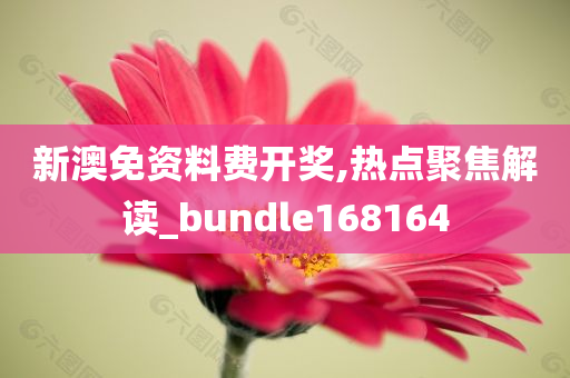 新澳免资料费开奖,热点聚焦解读_bundle168164