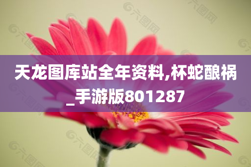 天龙图库站全年资料,杯蛇酿祸_手游版801287