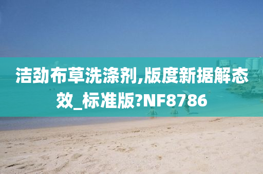 洁劲布草洗涤剂,版度新据解态效_标准版?NF8786