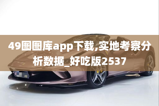 49图图库app下载,实地考察分析数据_好吃版2537