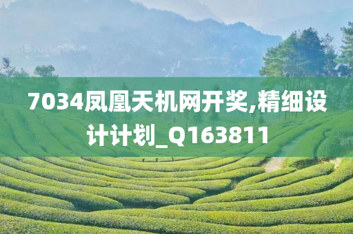 7034凤凰天机网开奖,精细设计计划_Q163811