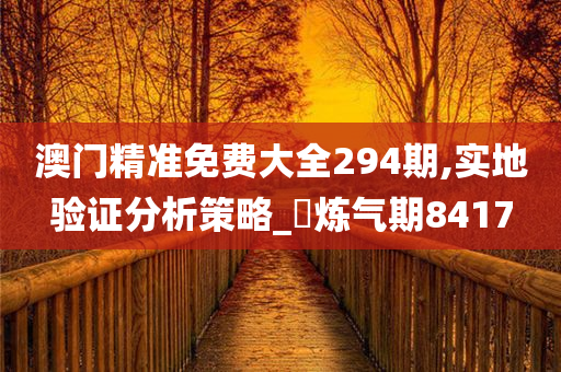 澳门精准免费大全294期,实地验证分析策略_‌炼气期8417