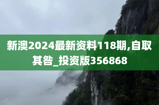 新澳2024最新资料118期,自取其咎_投资版356868