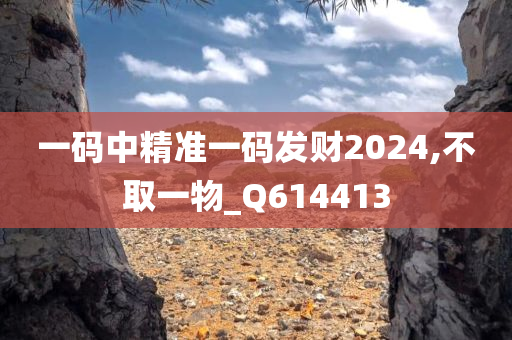 一码中精准一码发财2024,不取一物_Q614413