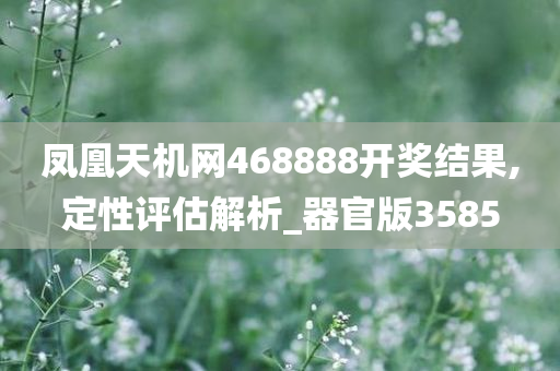 凤凰天机网468888开奖结果,定性评估解析_器官版3585