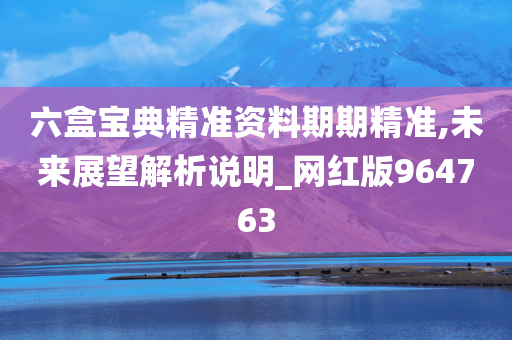 六盒宝典精准资料期期精准,未来展望解析说明_网红版964763