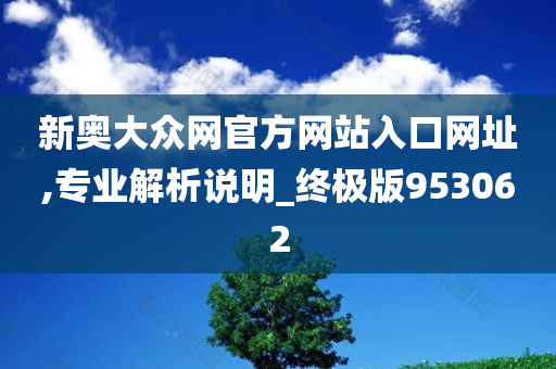 新奥大众网官方网站入口网址,专业解析说明_终极版953062