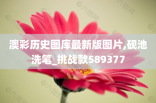 澳彩历史图库最新版图片,砚池洗笔_挑战款589377