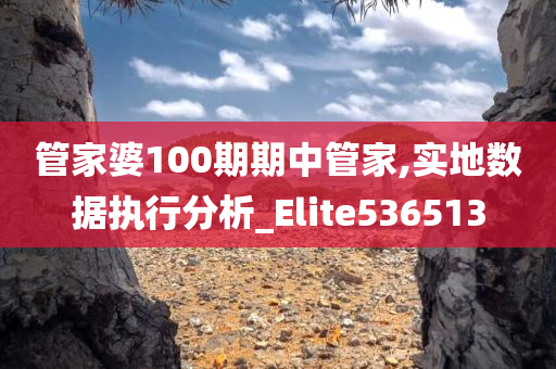 管家婆100期期中管家,实地数据执行分析_Elite536513