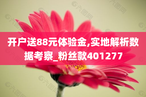 开户送88元体验金,实地解析数据考察_粉丝款401277