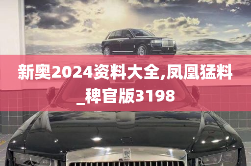 新奥2024资料大全,凤凰猛料_稗官版3198