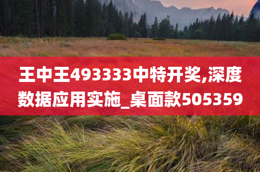 王中王493333中特开奖,深度数据应用实施_桌面款505359