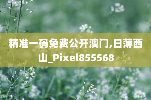 精准一码免费公开澳门,日薄西山_Pixel855568