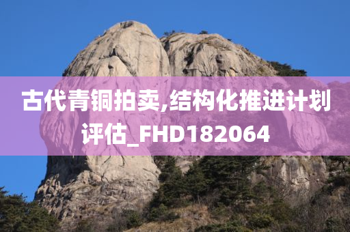 古代青铜拍卖,结构化推进计划评估_FHD182064