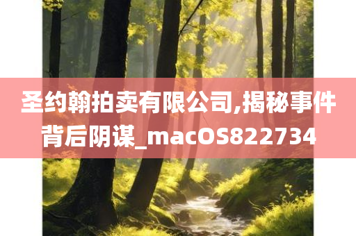 圣约翰拍卖有限公司,揭秘事件背后阴谋_macOS822734