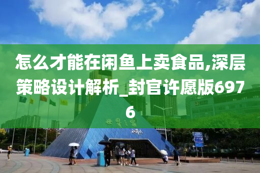 怎么才能在闲鱼上卖食品,深层策略设计解析_封官许愿版6976